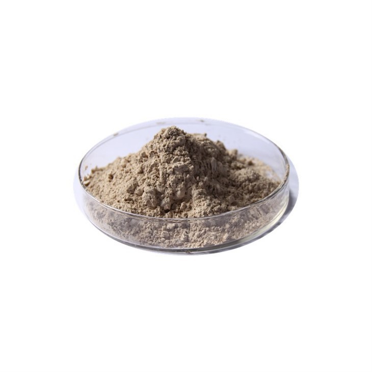 High Alumina Cement